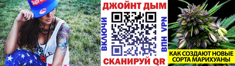 наркотики Электрогорск Марихуана план
